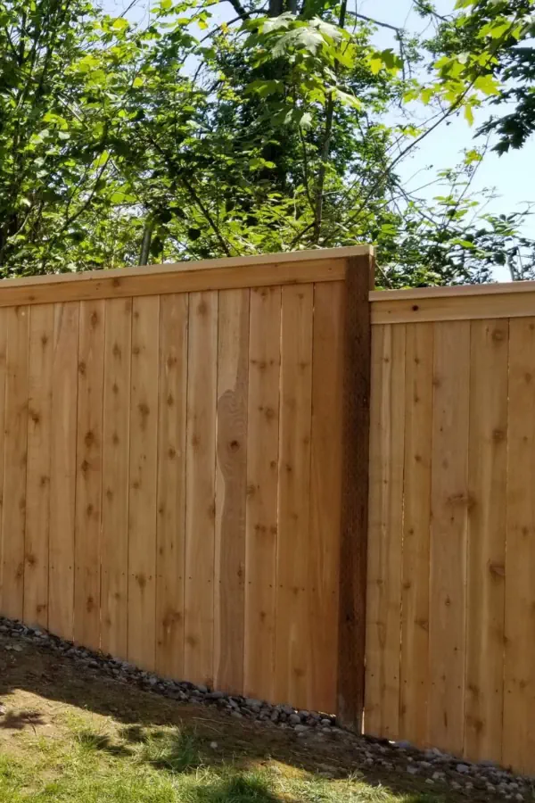 Wood Privacy Fence With Cap and Trim